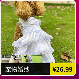 大量批發(fā)寵物衣架 寵物用品 衣架一套(10個(gè))塑料狗狗衣架