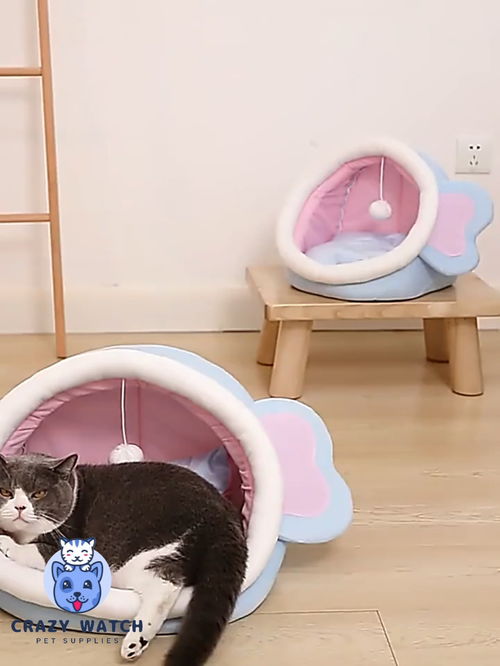 寵物用品超級(jí)可愛(ài)窩窩朋友們好呀 希望能給你們帶去一份好心情 一切 都越來(lái)越好吧